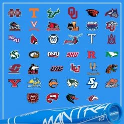 2021 Rawlings Mantra -9 Fastpitch Softball Bat: FP1M9 17 2021 Rawlings Mantra -9 Fastpitch Softball Bat: FP1M9