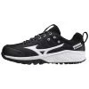 Mizuno Ambition 2 All Surface Women's Turf Shoes: 320640 Apparel & Uniforms