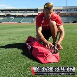 Baseball PowerNet 7' X 7' Replacement Carry Bag: 1001B