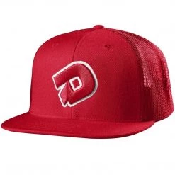 DeMarini B.I.G. Snapback Hat: WTD1090 Baseball