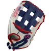 Rawlings Heart Of The Hide 12.5" DSG Exclusive Fastpitch Glove: PRO125SB-6USA21