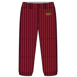 Champro Sports Baseball Champro Custom Sublimated Pants: JUICE PANTS