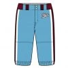 Champro Sports Baseball Champro Custom Sublimated Pants: JUICE PANTS