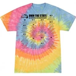 DSG Apparel 2021 NSA Michigan State Championships Fastpitch Tournament T-Shirt Apparel & Uniforms