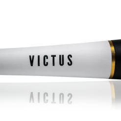 DEMO 2021 Victus Vandal -10 (2 3/4