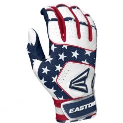 Easton Walk Off NX Youth Batting Gloves: A121262 Baseball