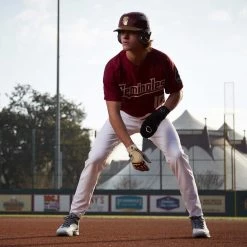 Baseball EvoShield Sliding Mitt: WTV4054